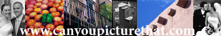 newsletter header copy.jpg